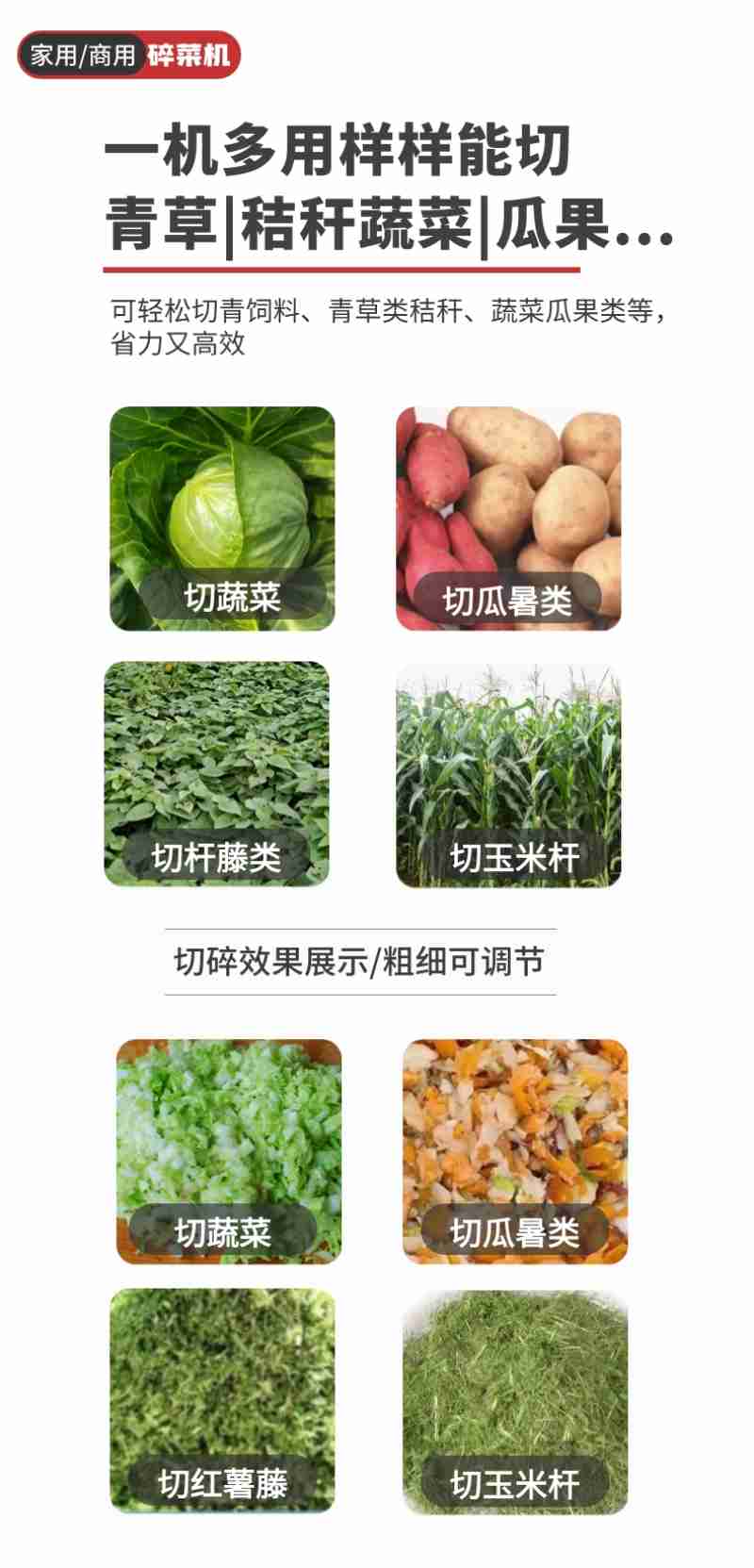 通过“日光温室+智能大棚”多元设施农业体系育苗(央广网发 折伊琳 摄)